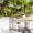 beautiful lounge with greenery